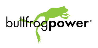 bullfrog icon