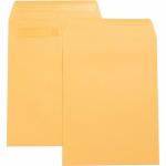 Business Source Press-To-Seal Catalog Envelopes